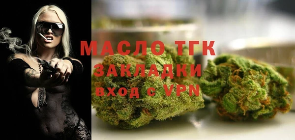 индика Арсеньев
