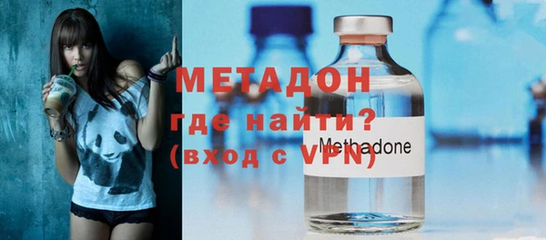 индика Арсеньев