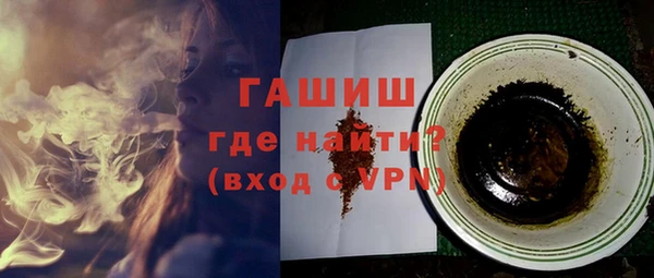 индика Арсеньев