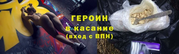 индика Арсеньев