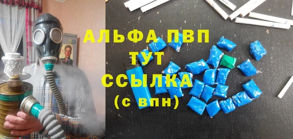 индика Арсеньев