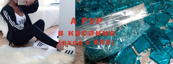 индика Арсеньев