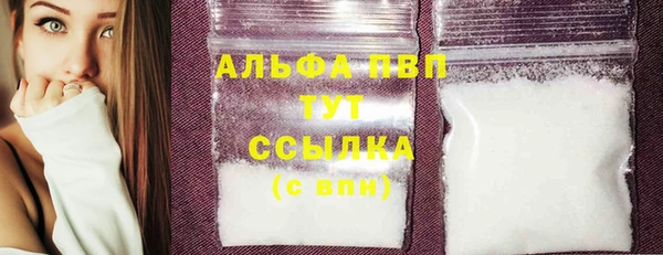 индика Арсеньев