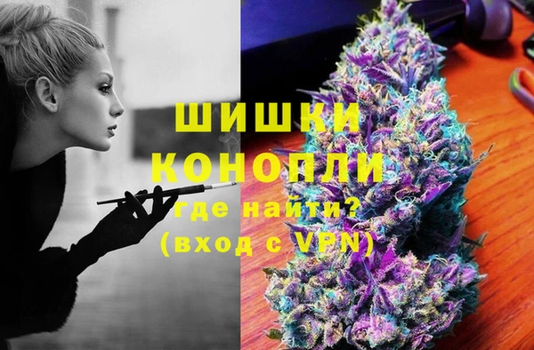 индика Арсеньев