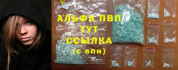 стафф Алексин